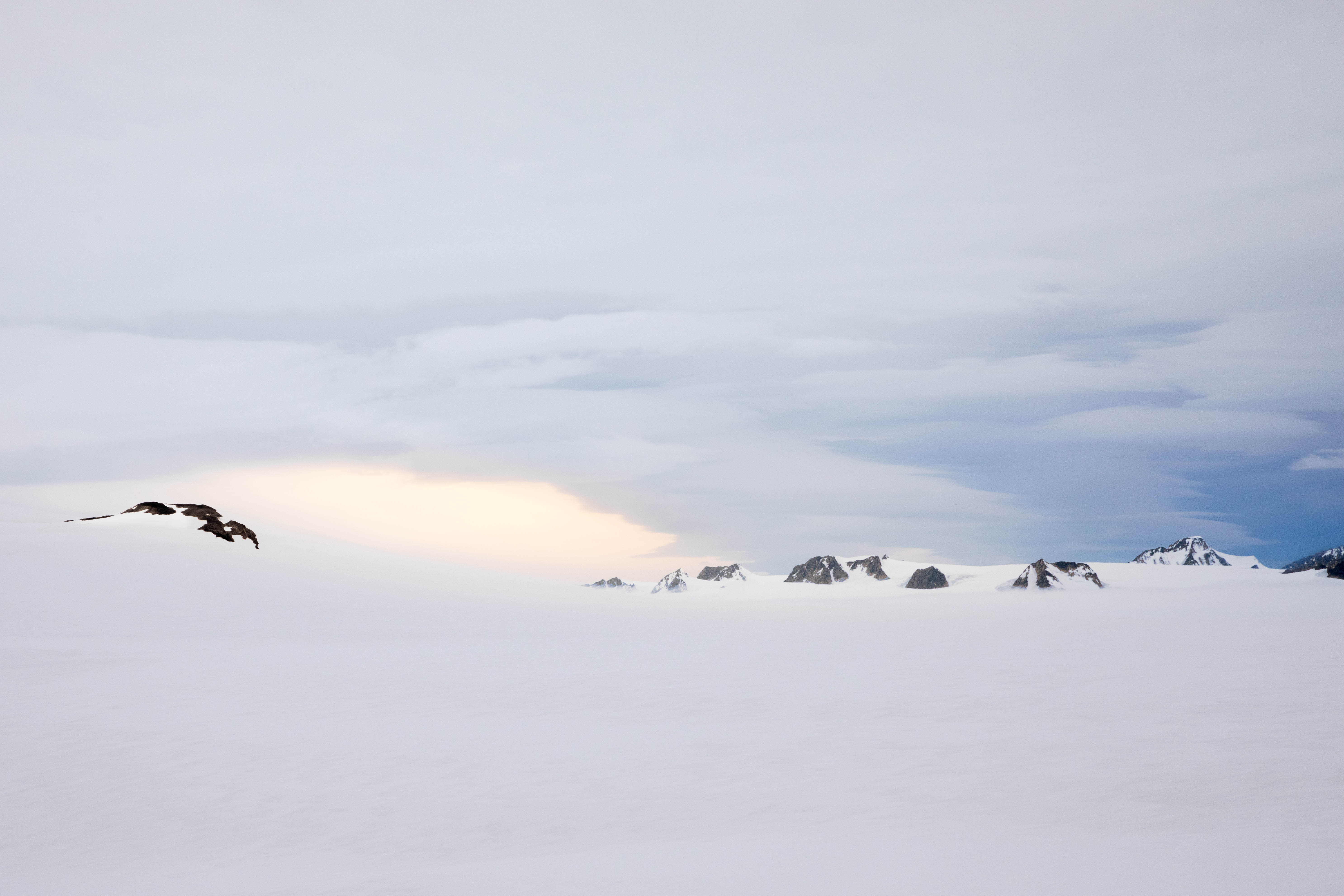 Eagle in flight over a glacial snowfield