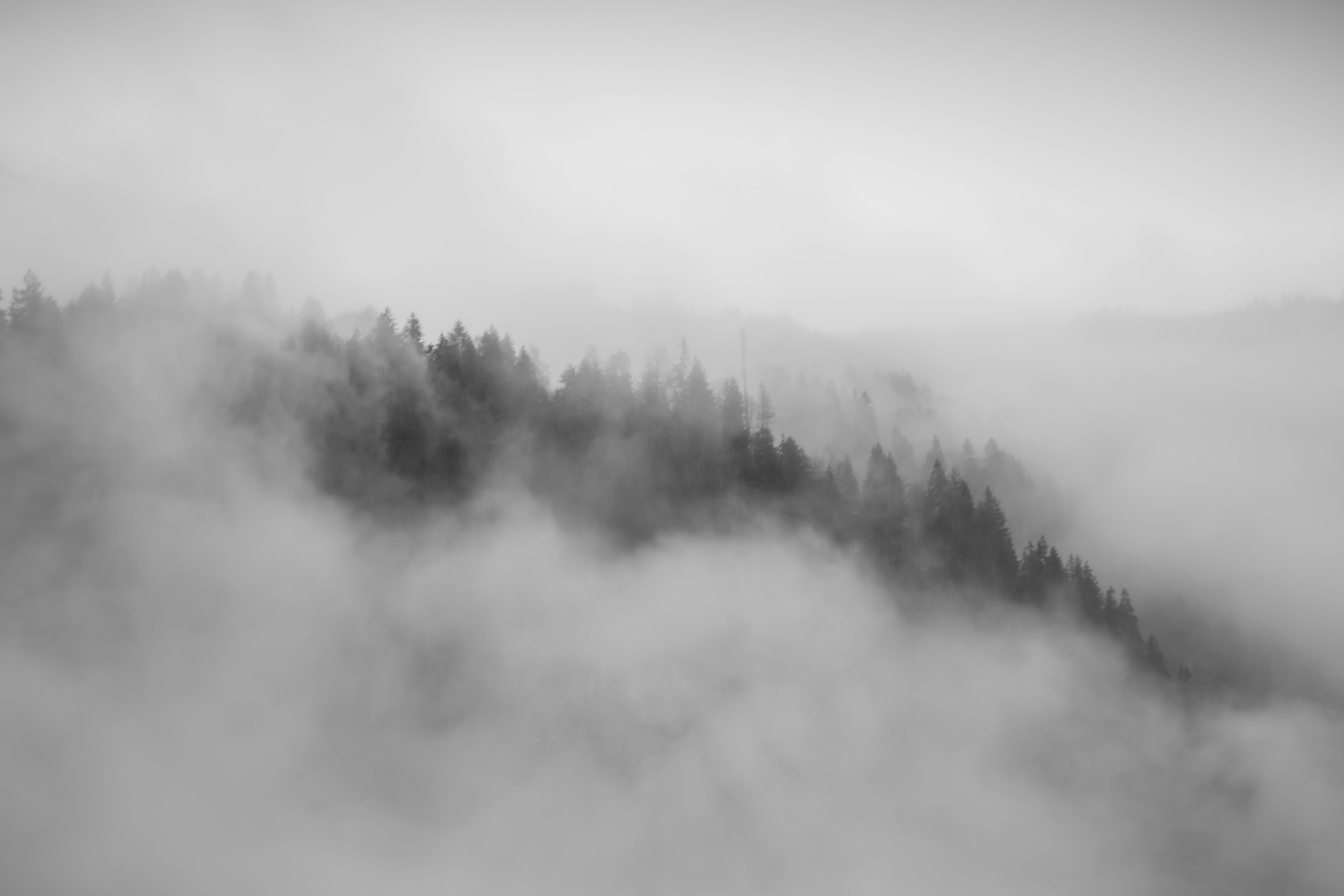 Fog rolling through a forested mountain ridge